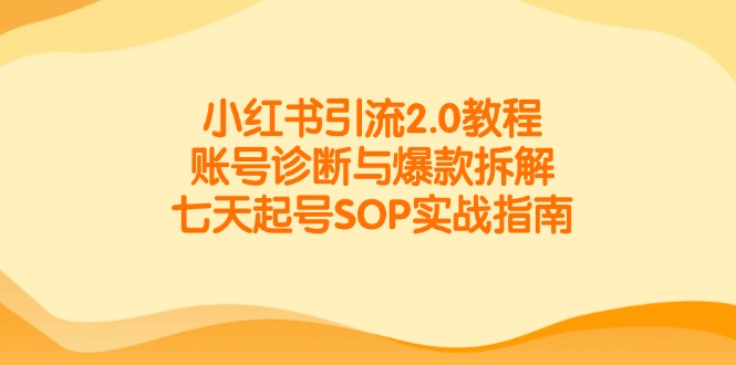 小红书引流2.0教程，账号诊断与爆款拆解，七天起号SOP实战指南-乐码云集