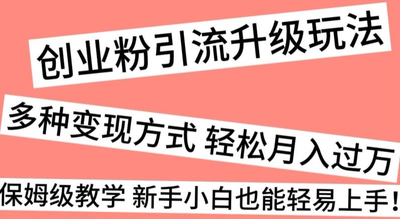 创业粉引流升级玩法，多种变现方式轻松月入过万，保姆级教学新手小白也能轻易上手！-乐码云集