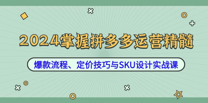 2024掌握拼多多运营精髓：爆款流程、定价技巧与SKU设计实战课-乐码云集