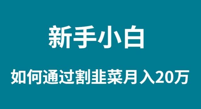 (9308期)新手小白如何通过割韭菜月入 20W-乐码云集