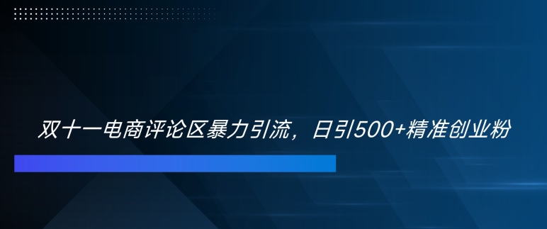 双十一电商评论区暴力引流，日引500+精准创业粉【揭秘】-乐码云集