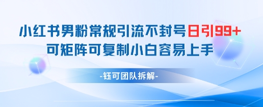 小红书男粉常规引流不封号日引99+变现简单 可矩阵可复制小白容易上手-乐码云集