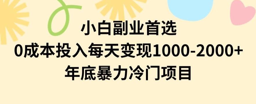 小白副业首选，0成本投入，每天变现1000-2000年底暴力冷门项目【揭秘】-乐码云集