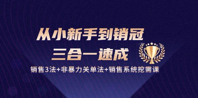从小新手到销冠 三合一速成：销售3法+非暴力关单法+销售系统挖需课 (27节-乐码云集