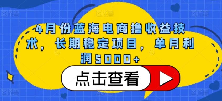 4月份蓝海电商撸收益技术，长期稳定项目，单月利润5000+【揭秘】-乐码云集