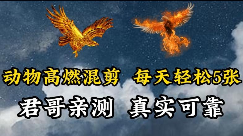 动物超燃混剪，每天轻松5张，剪辑简单大家爱看【揭秘】-乐码云集