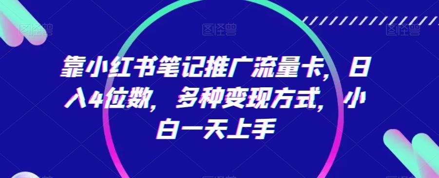 靠小红书笔记推广流量卡，日入4位数，多种变现方式，小白一天上手-乐码云集