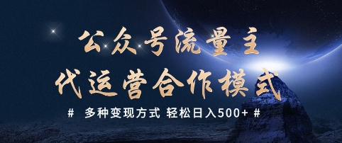 公众号流量主代运营  多种变现方式 轻松日入5张【揭秘】-乐码云集