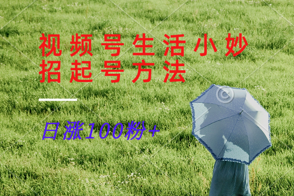 视频号生活小妙招分享赛道， 起号涨粉新方法，日涨100粉-乐码云集