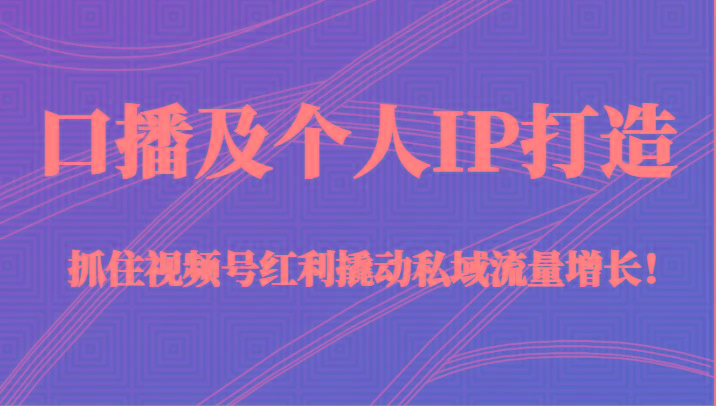 口播及个人IP打造，抓住视频号红利撬动私域流量增长！（45节课）-乐码云集