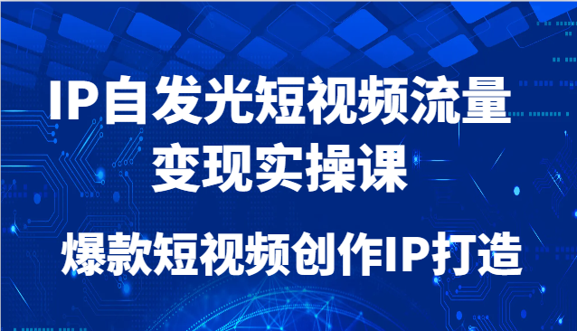 IP自发光短视频流量变现实操课,爆款短视频创作IP打造-乐码云集
