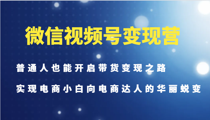 微信视频号变现营-普通人也能开启带货变现之路，实现电商小白向电商达人的华丽蜕变-乐码云集