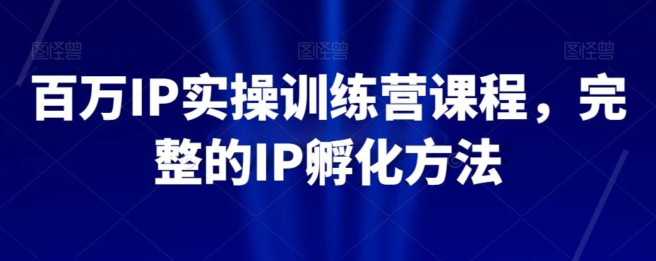 百万IP实操训练营课程，完整的IP孵化方法-乐码云集