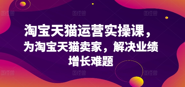 淘宝天猫运营实操课，为淘宝天猫卖家，解决业绩增长难题-乐码云集