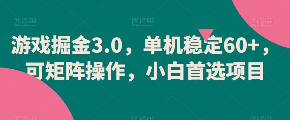 游戏掘金3.0，单机稳定60+，可矩阵操作，小白首选项目【揭秘】-乐码云集
