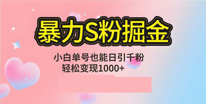 单人单机日引千粉，变现1000+，S粉流量掘金计划攻略-乐码云集