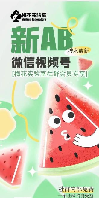梅花实验室2024年AB技术视频号AB合成破解版-乐码云集