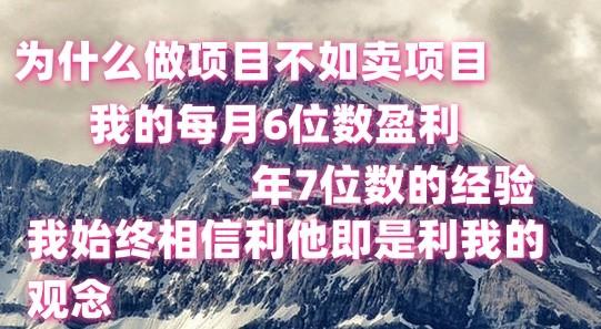 做项目不如卖项目，每月6位数盈利，年7位数经验-乐码云集