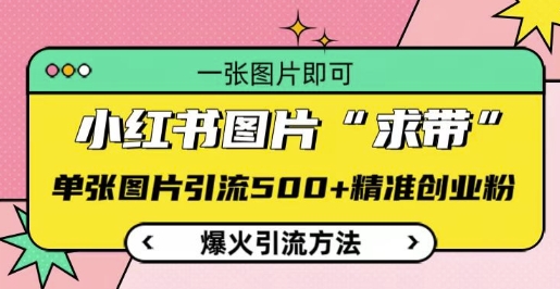 小红书图片‘求带’爆火引流法，单张图片引流500+精准创业粉【揭秘】-乐码云集