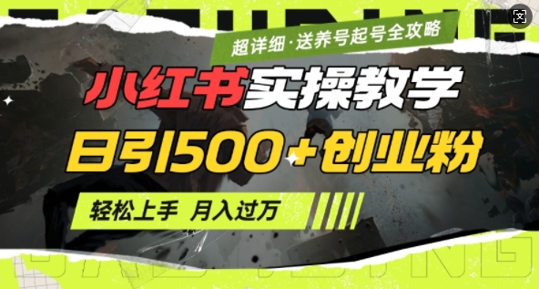 2月小红书最新日引500+创业粉实操教学【超详细】小白轻松上手，月入1W+，附小红书养号起号SOP-乐码云集