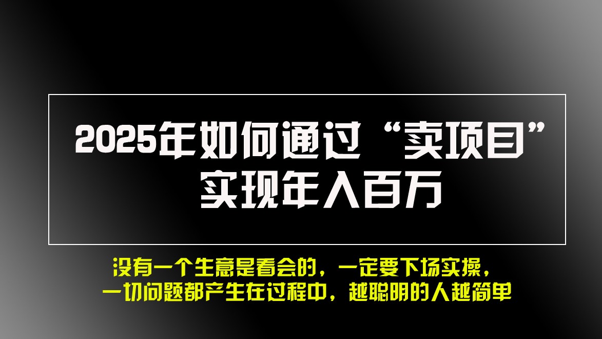 2025年如何通过“卖项目”实现年入百万-乐码云集