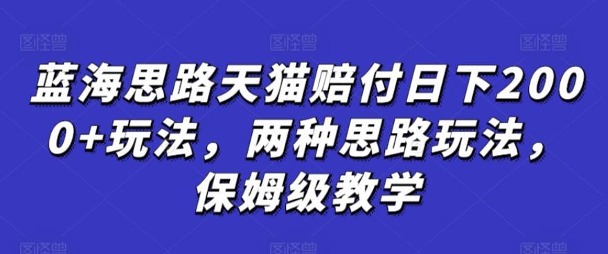 蓝海思路天猫赔付日下2000+玩法，两种思路玩法，保姆级教学【仅揭秘】-乐码云集