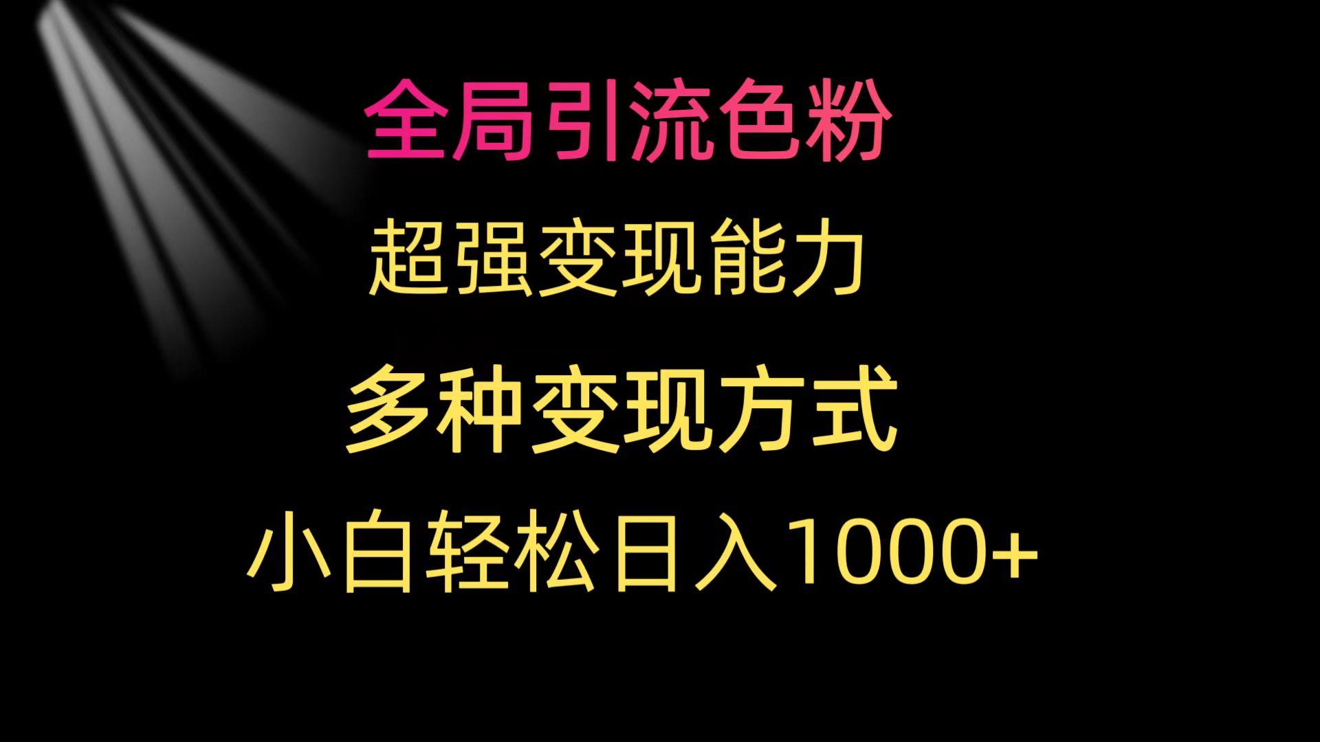(9680期)全局引流色粉 超强变现能力 多种变现方式 小白轻松日入1000+-乐码云集