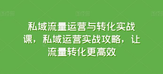 私域流量运营与转化实战课，私域运营实战攻略，让流量转化更高效-乐码云集