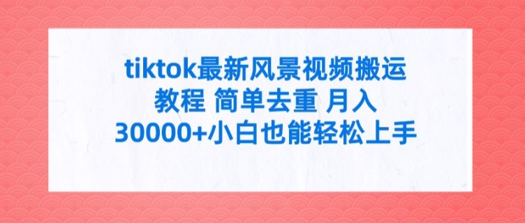 tiktok最新风景视频搬运教程 简单去重 月入3W+小白也能轻松上手【揭秘】-乐码云集