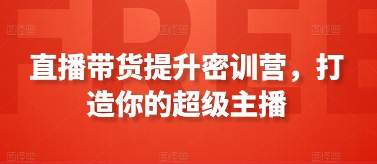 直播带货提升密训营，打造你的超级主播-乐码云集