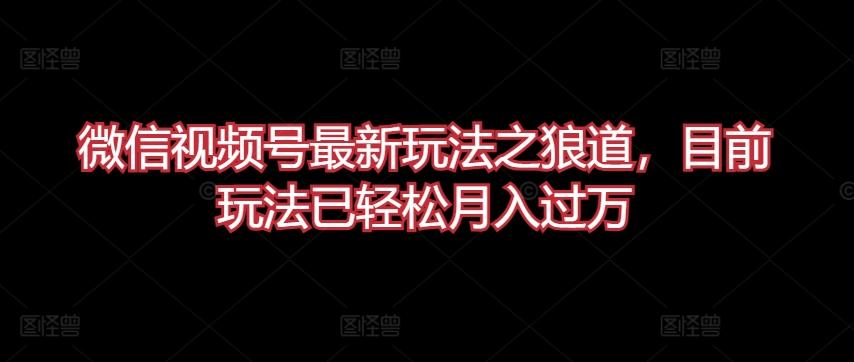 微信视频号最新玩法之狼道，目前玩法已轻松月入过万【揭秘】-乐码云集