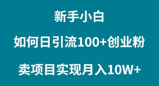 (9556期)新手小白如何通过卖项目实现月入10W+-乐码云集