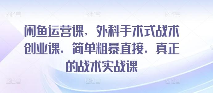 闲鱼运营课，外科手术式战术创业课，简单粗暴直接，真正的战术实战课-乐码云集