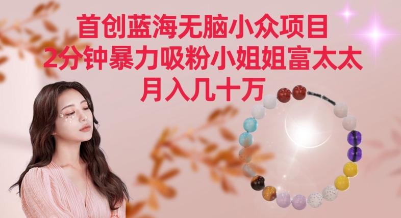 首创蓝海无脑小众项目，2分钟暴力吸粉小姐姐富太太，月入几十万【揭秘】-乐码云集