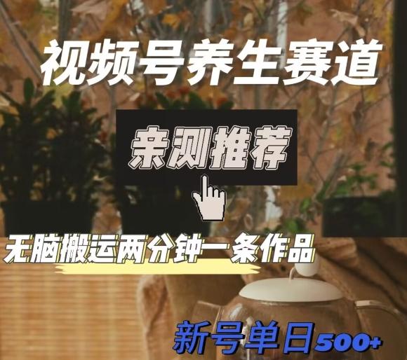 视频号养生赛道暴力掘金，无脑搬运，两分钟一条作品-新日单入500+-乐码云集