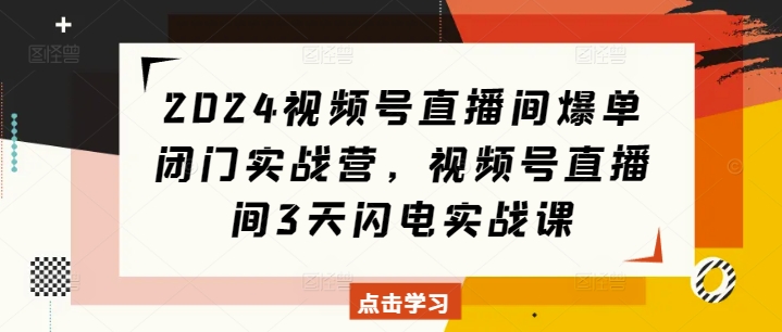 2024视频号直播间爆单闭门实战营，视频号直播间3天闪电实战课-乐码云集