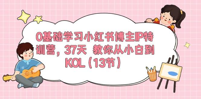 0基础学习小红书博主IP特训营，37天 教你从小白到KOL(13节-乐码云集