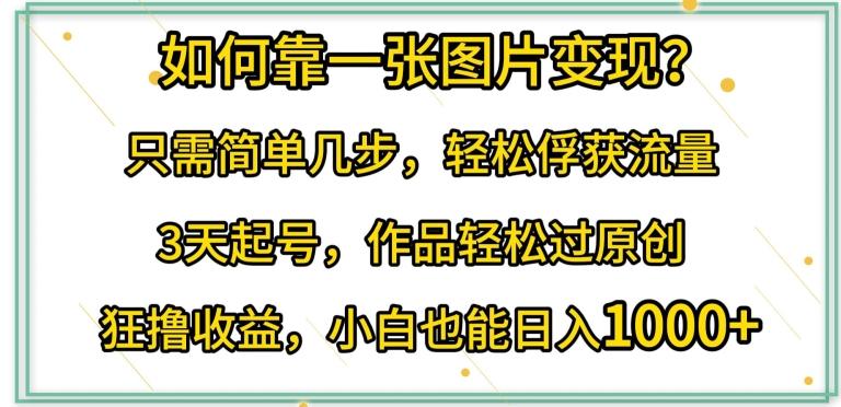 如何靠一张图片变现?只需简单几步，轻松俘获流量，3天起号，作品轻松过原创【揭秘】-乐码云集
