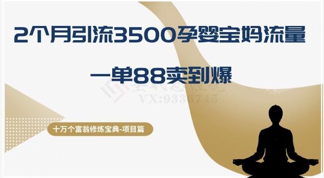 十万个富翁修炼宝典之13.2个月引流3500孕婴宝妈流量，一单88卖到爆-乐码云集