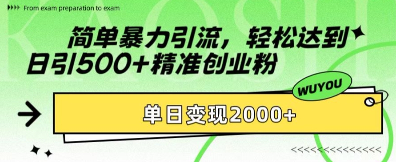 简单暴力引流，轻松达到日引500+精准创业粉，单日变现2k【揭秘】-乐码云集