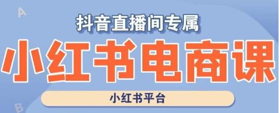 小红书电商高级运营课程，实操教学+案例分析-乐码云集