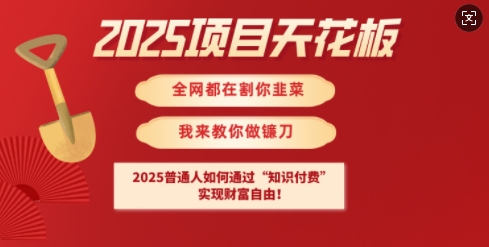 2025项目天花板普通人如何通过知识付费，实现财F自由【揭秘】-乐码云集