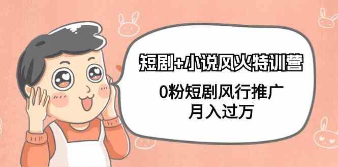 小说+短剧风火特训营，0粉短剧小说风行推广，实现月入过万-乐码云集