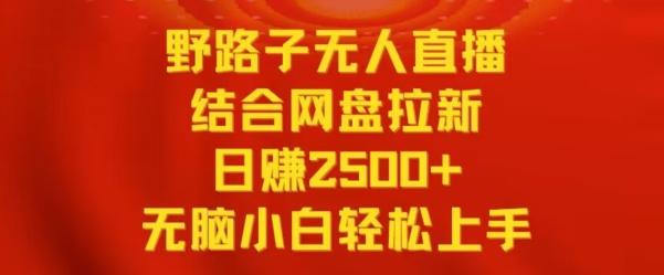 野路子无人直播结合网盘拉新，日赚2500+，小白无脑轻松上手【揭秘】-乐码云集